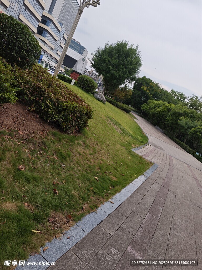 蜿蜒小徑旁的綠植景觀