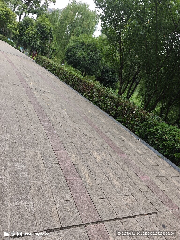 公園中整潔的磚石步道