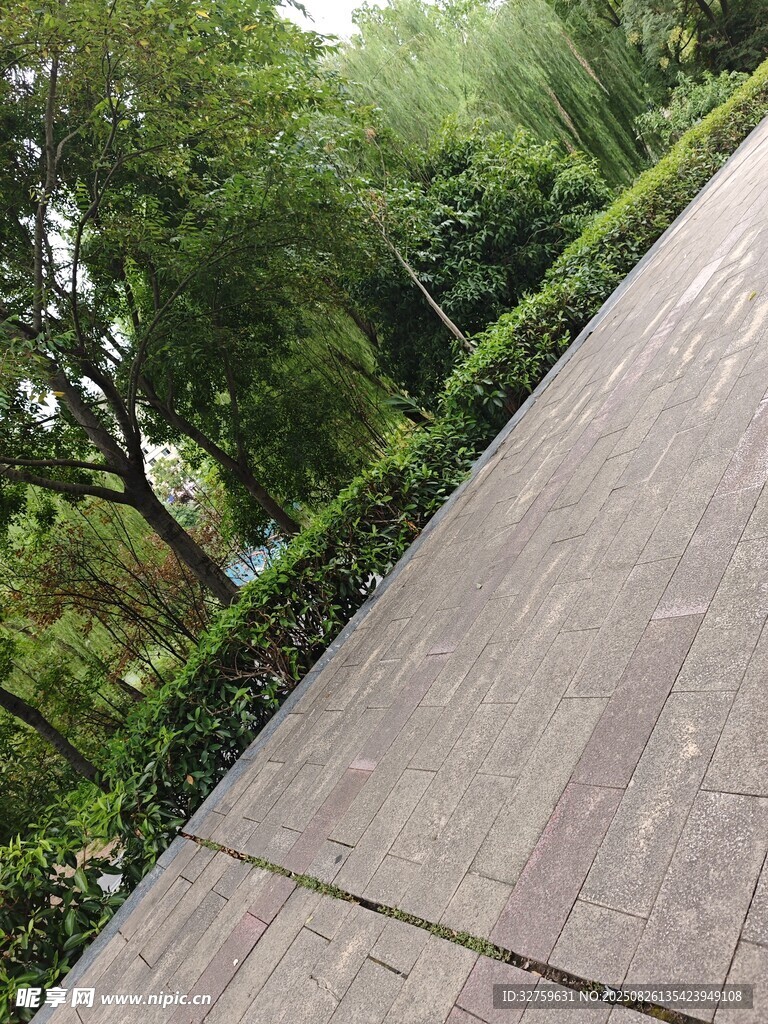 林間石板