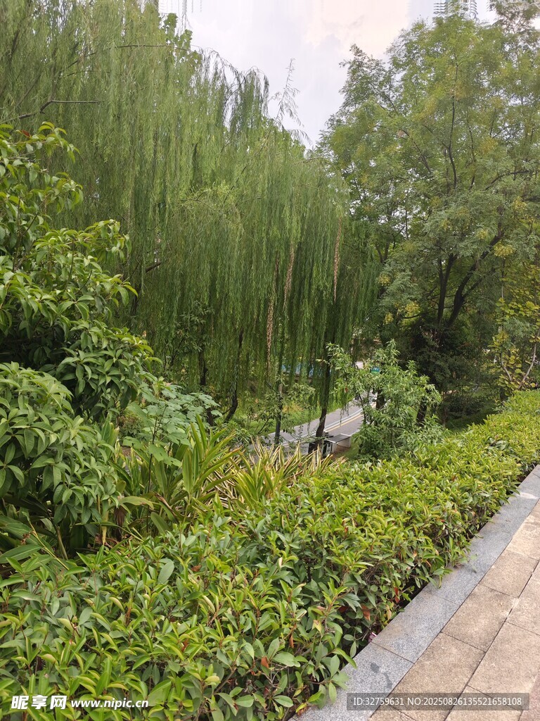 綠意盎然的公園小徑