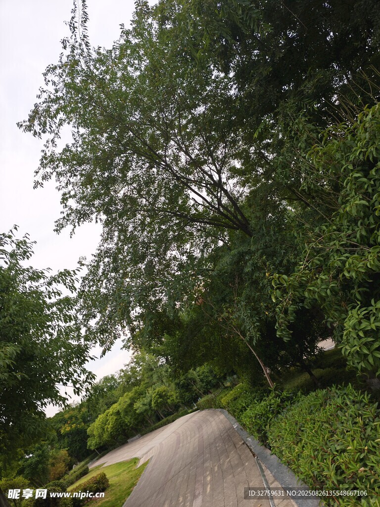 林間幽靜小路