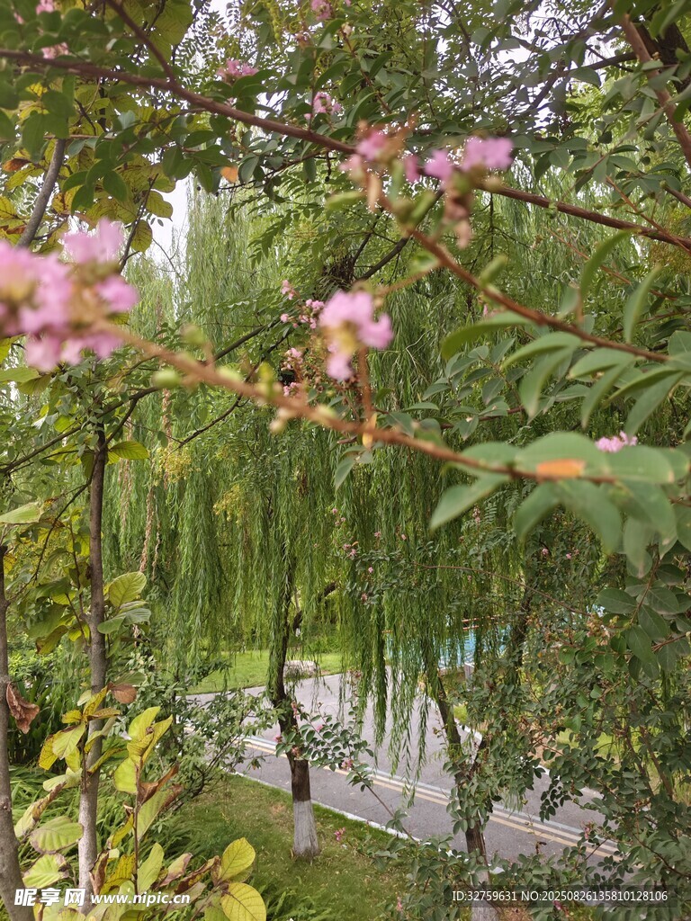 粉花綠枝的自然美景