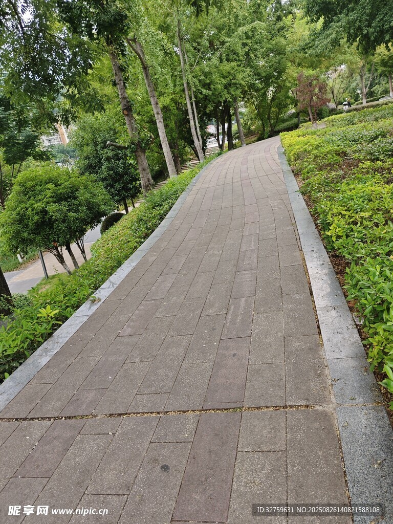 城市中幽靜的林蔭步道