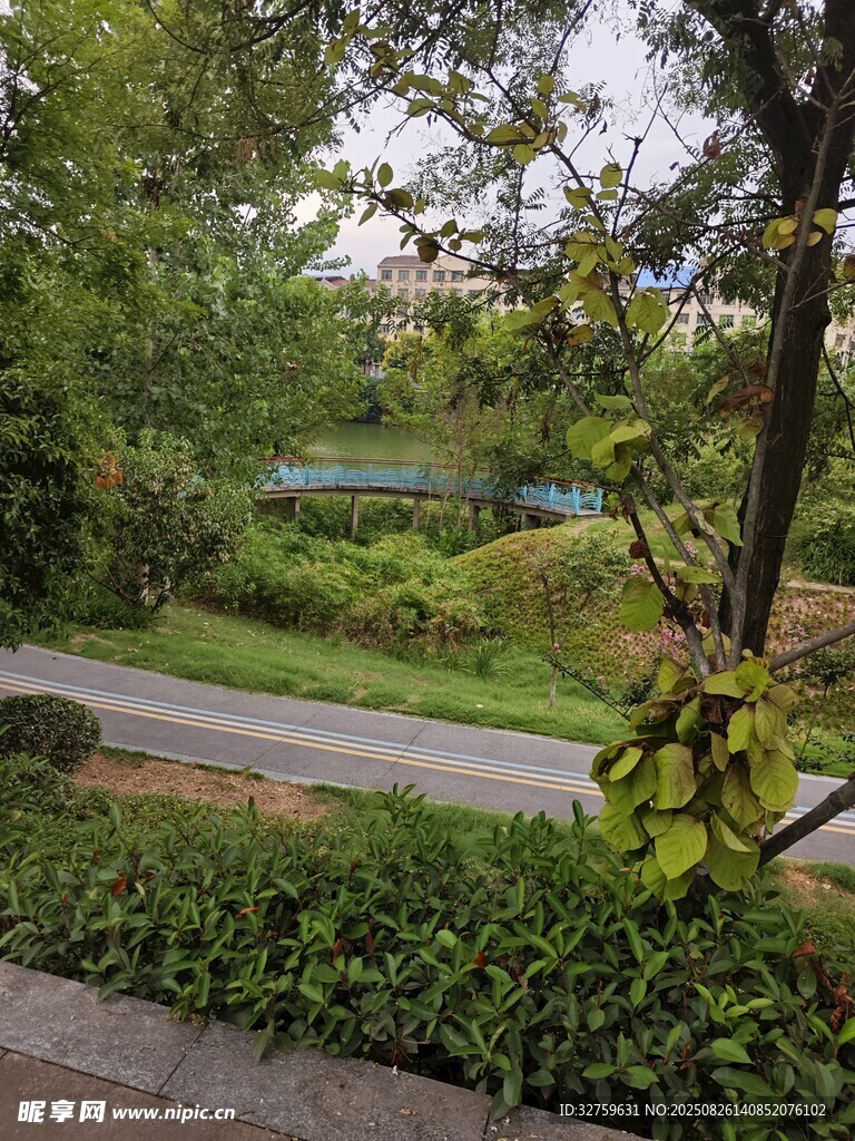 靜謐庭院綠植景觀