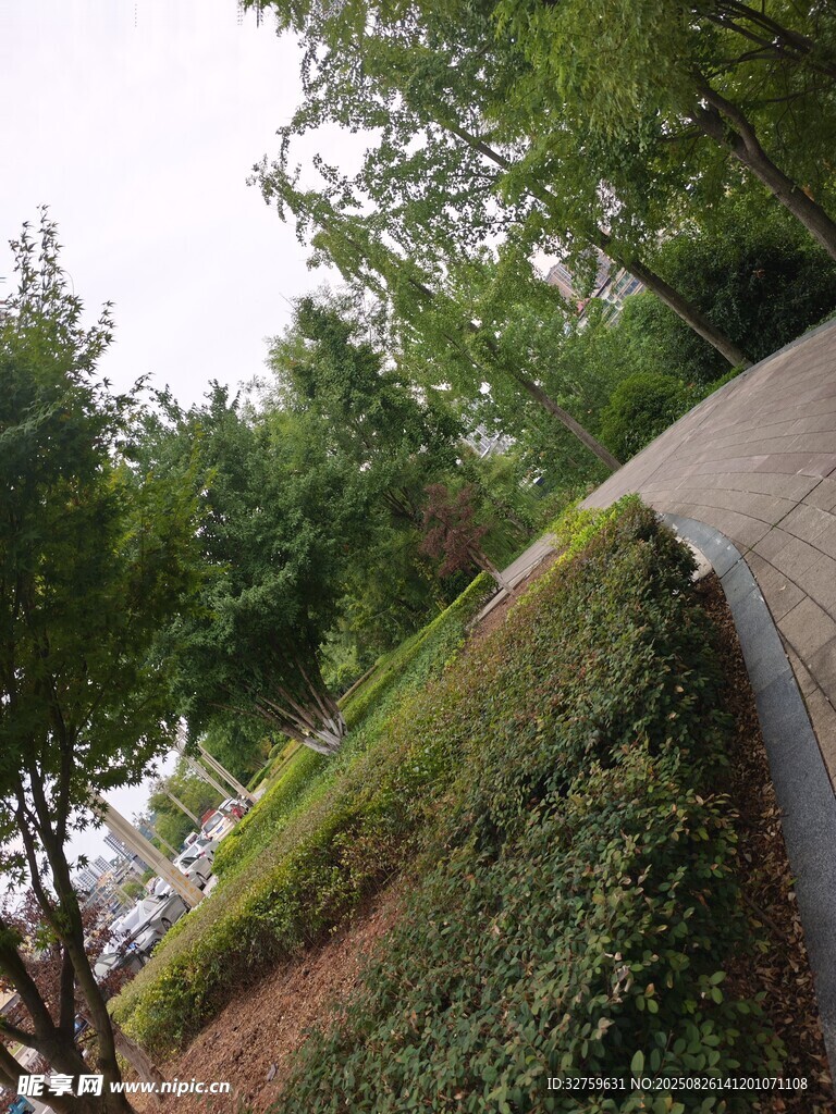 城市中蜿蜒的綠植小道