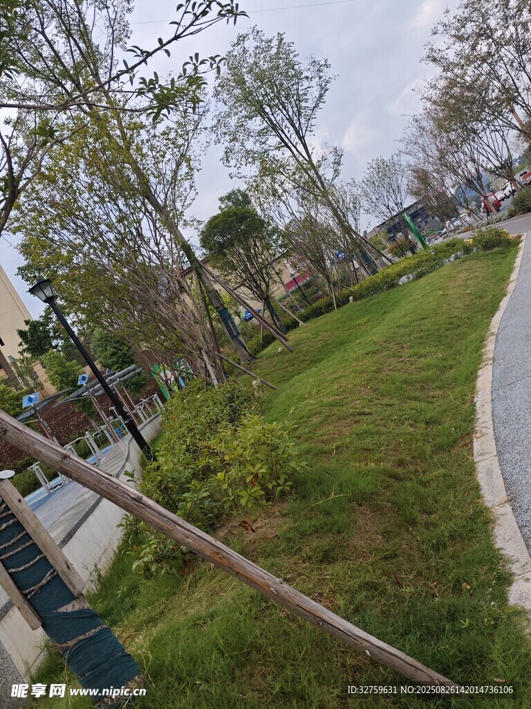 城市公園中的綠意小徑