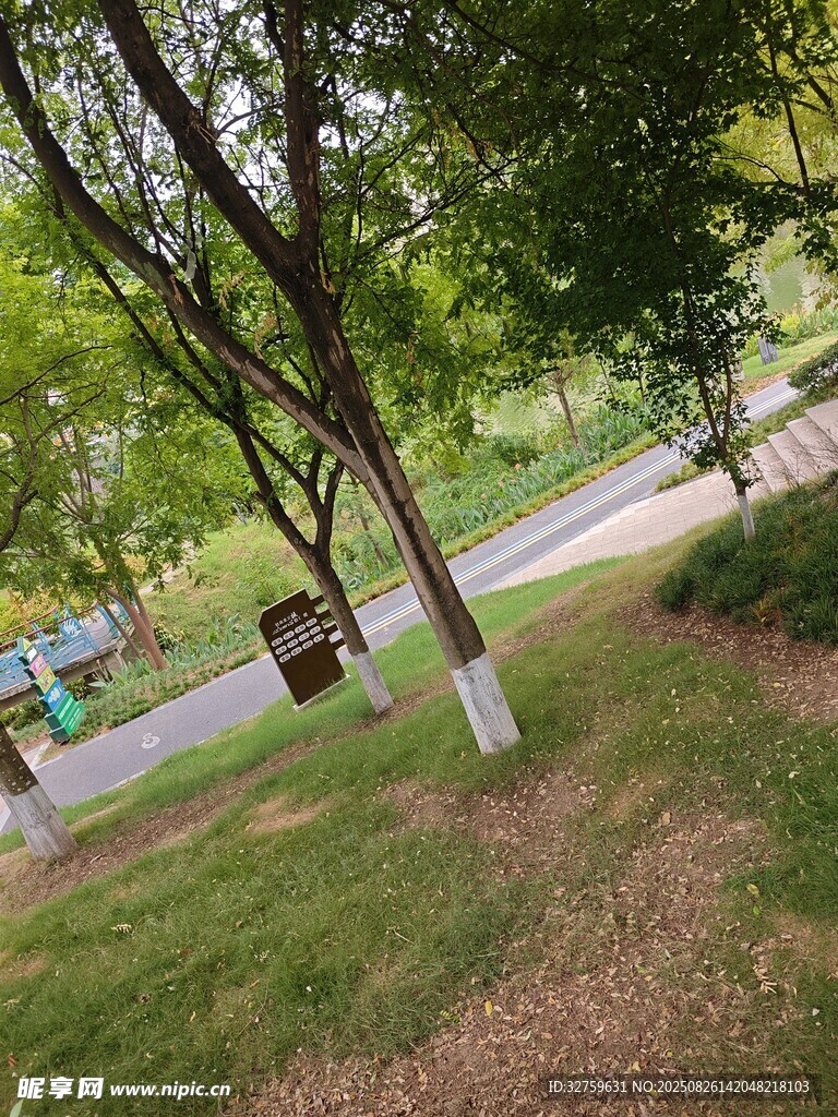 公園綠蔭下的休閑場(chǎng)景