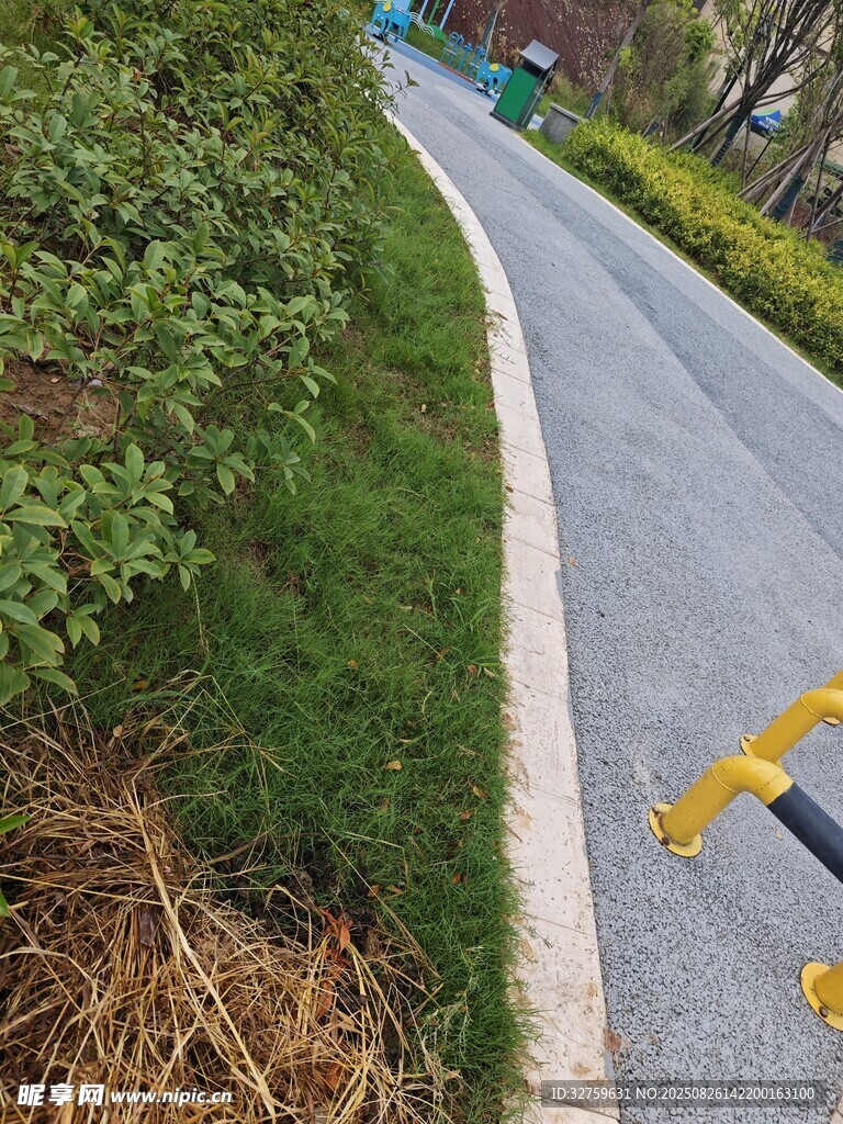 路邊綠植旁的騎行道