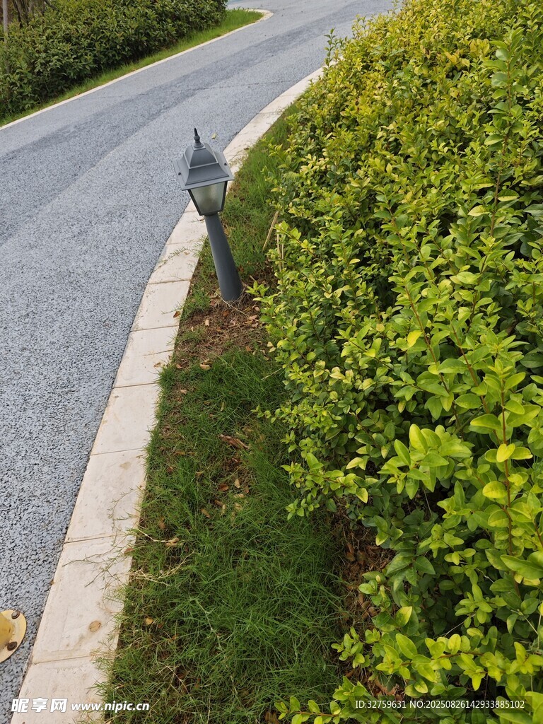 路邊綠植與灰色道路一角