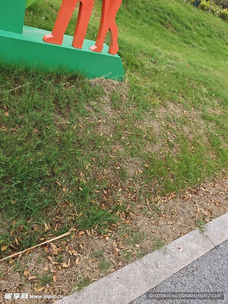 戶外草地旁的彩色設(shè)施
