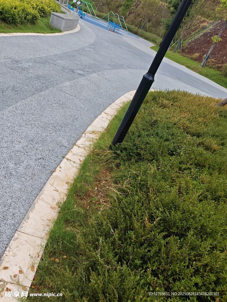 蜿蜒道路旁的翠綠草地