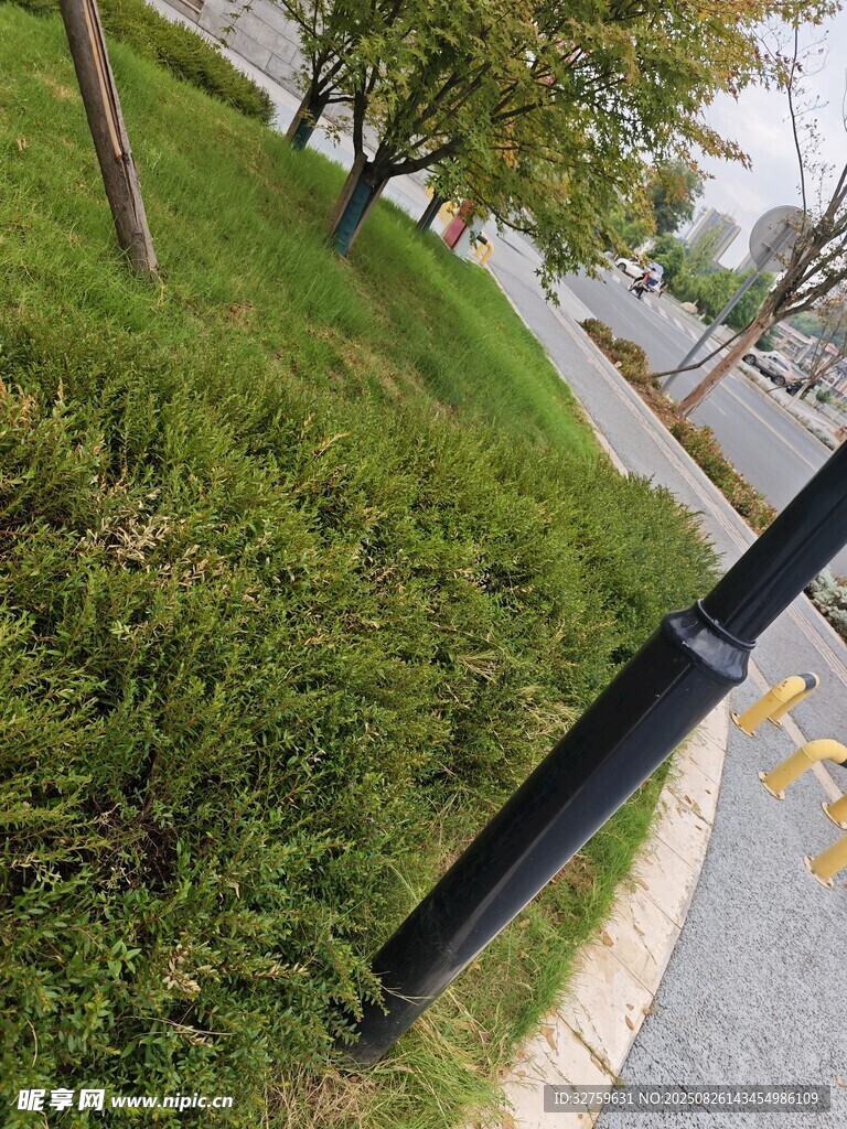 路邊綠植與黑色欄桿景觀
