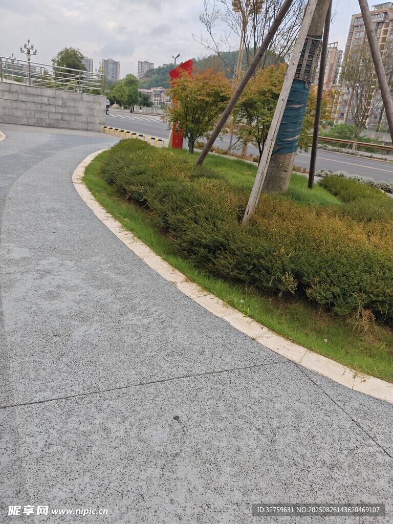 城市道路旁的綠植景觀