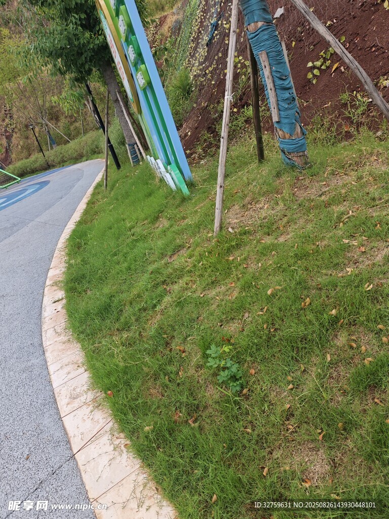 路邊綠意盎然的草地景觀