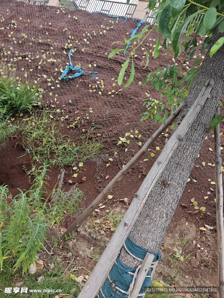 戶外繩索與綠植場景