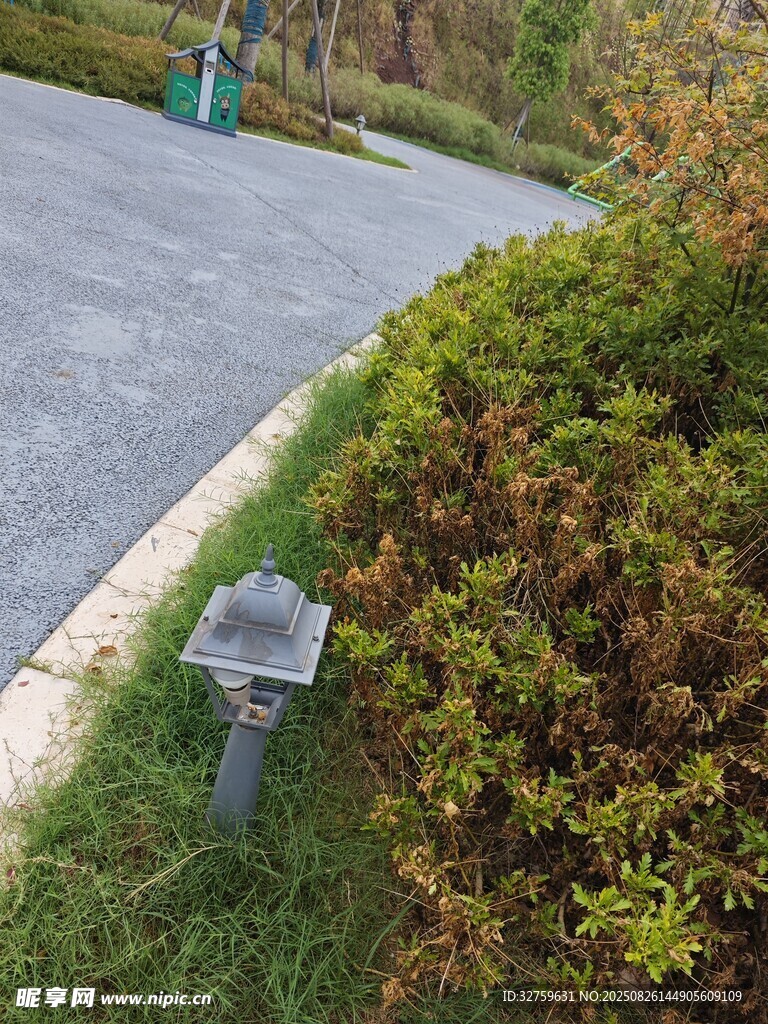 路邊綠植旁的小型景觀燈