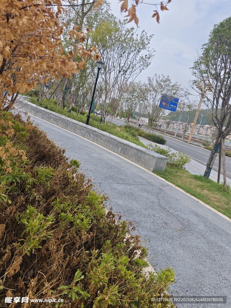 秋日林蔭道路景觀