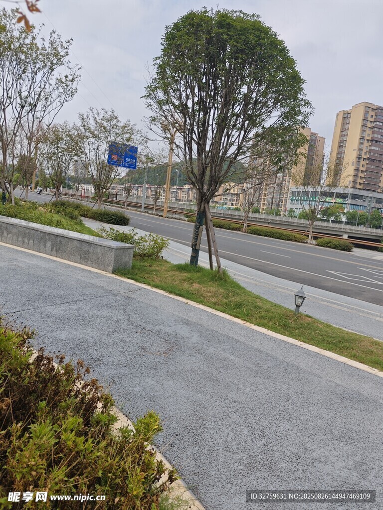 城市道路旁的綠化景觀