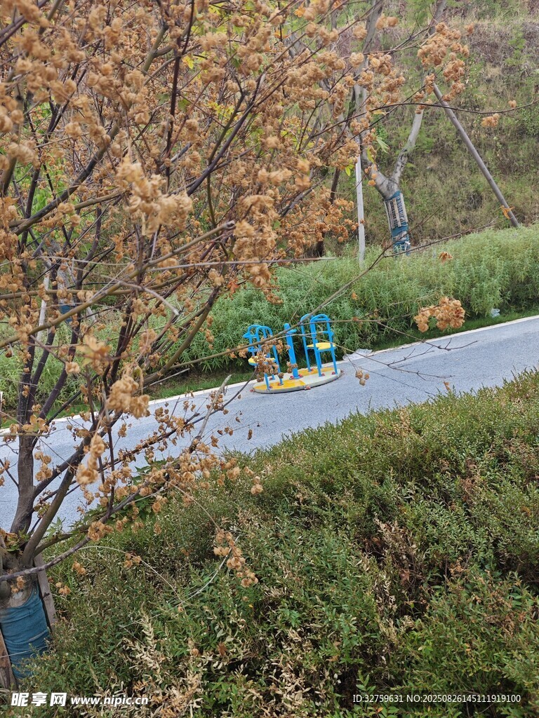 秋日公園中的清掃場(chǎng)景