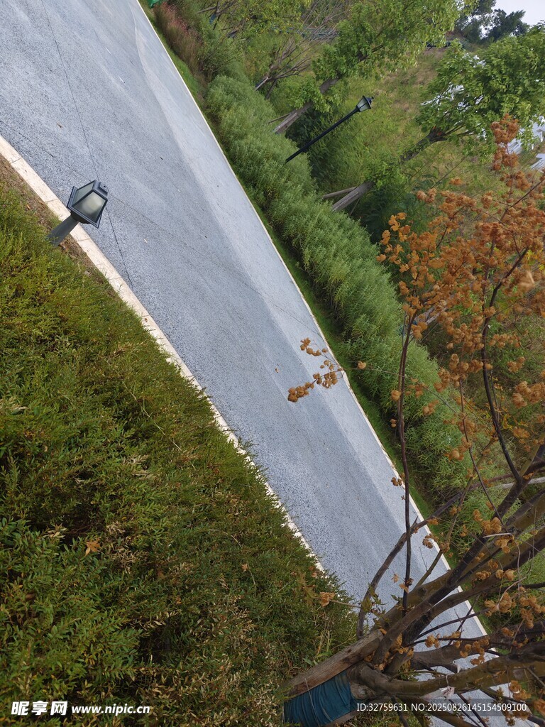 俯瞰林間道路與車(chē)輛