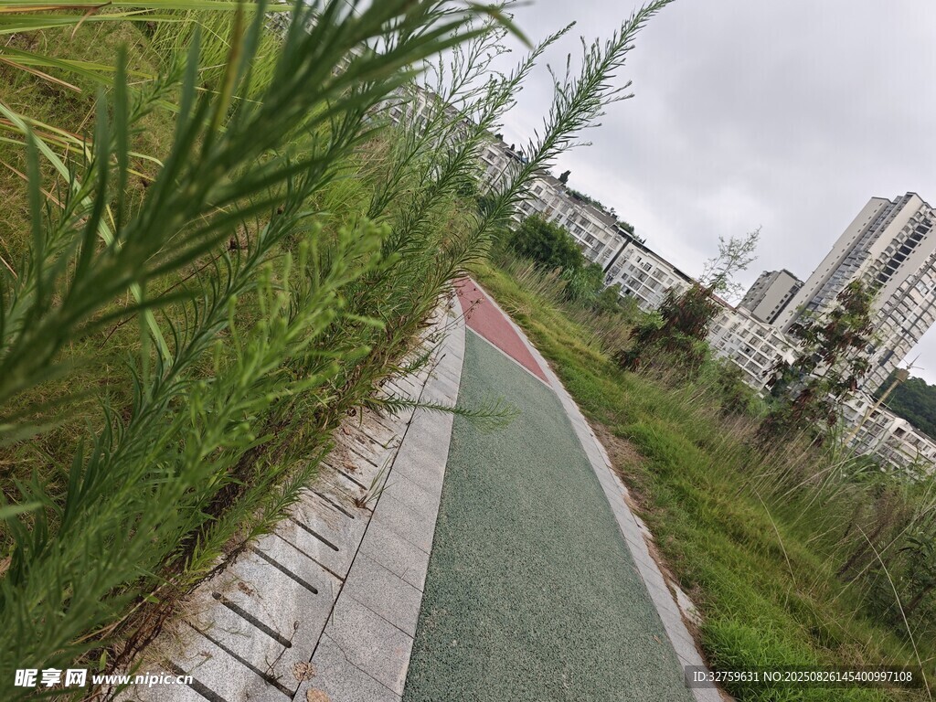 城市中的綠意步道