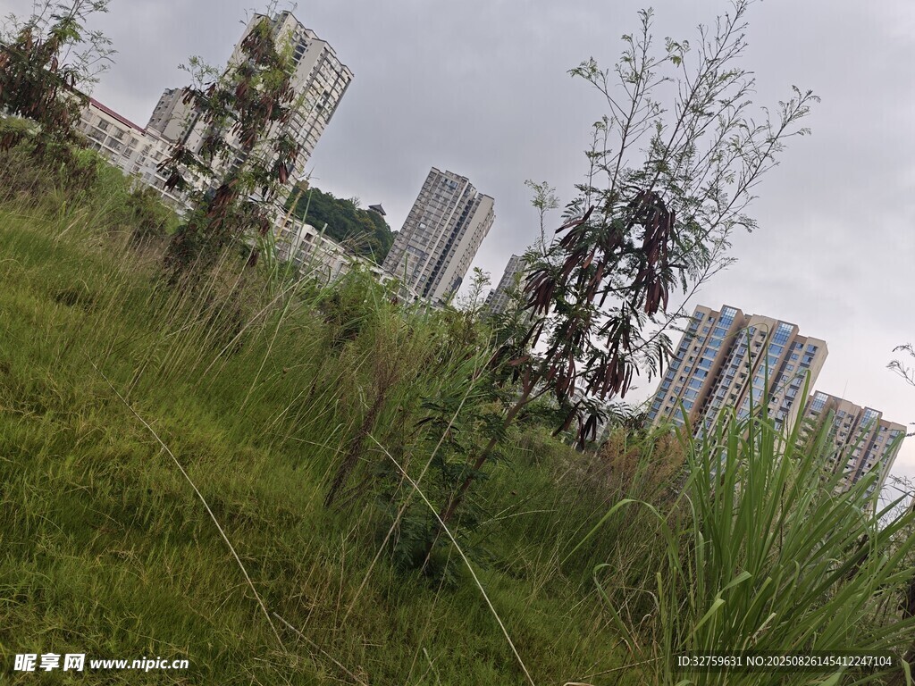 城市草地與遠(yuǎn)處高樓景觀