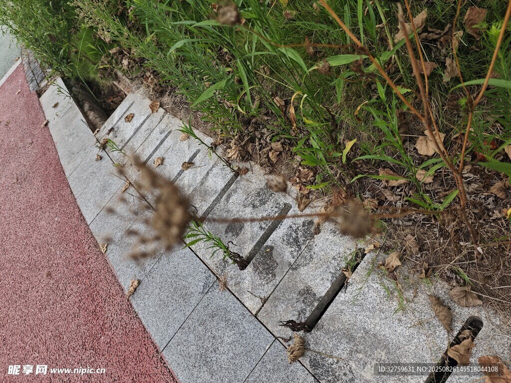 破損的路邊石板