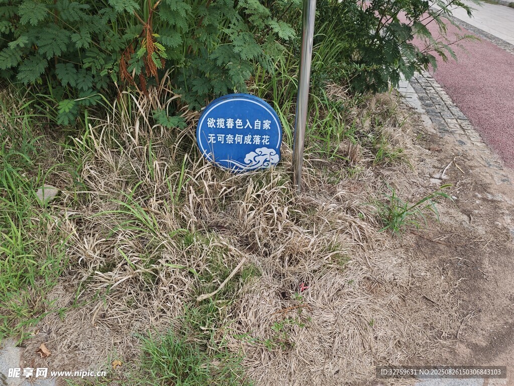 路邊藍色標識牌