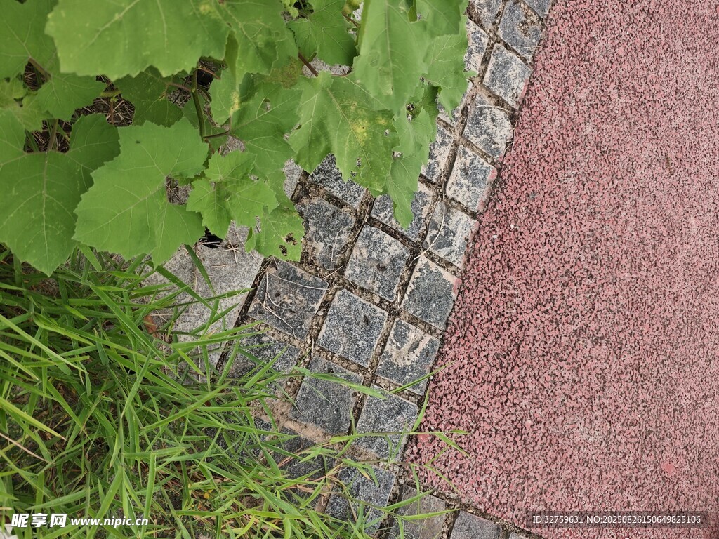 磚石小徑旁的綠植景觀