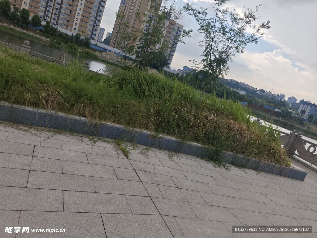 城市河畔步道與綠植景觀