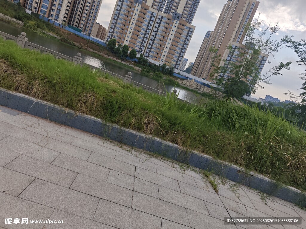 城市旁的草地與磚石路面