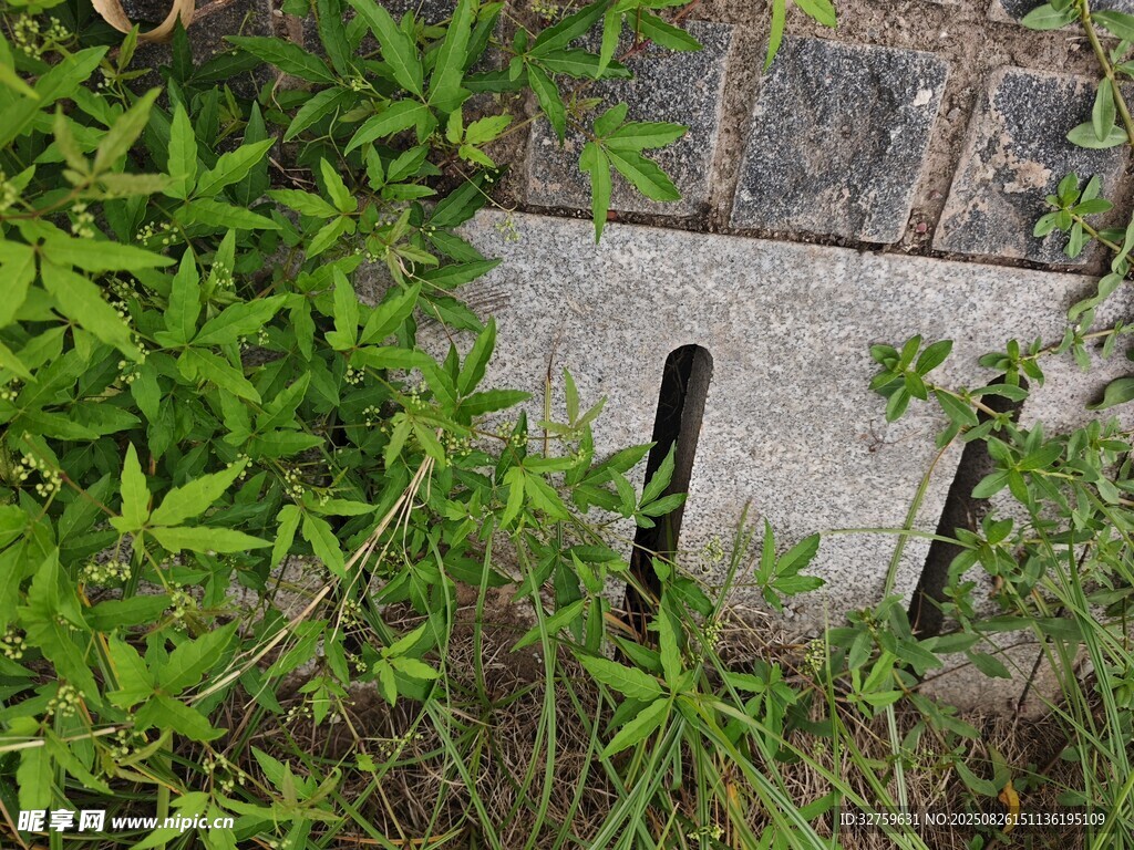 草叢中的金屬物件