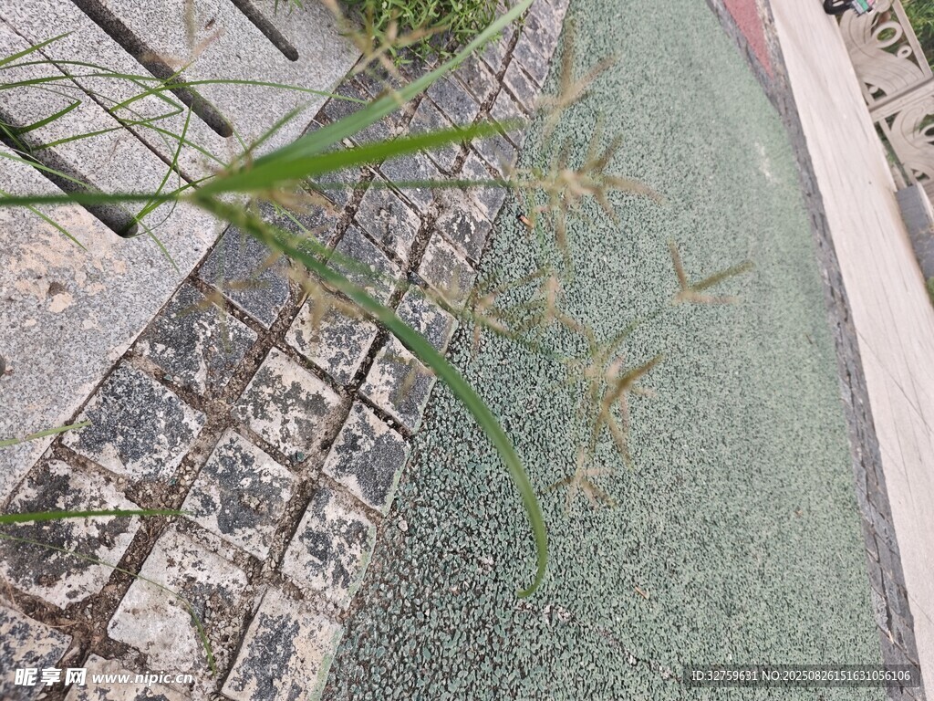 路邊綠植與碎石景觀