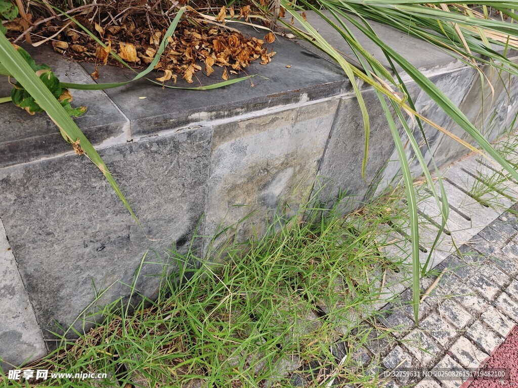 石砌花壇邊的綠植與落葉