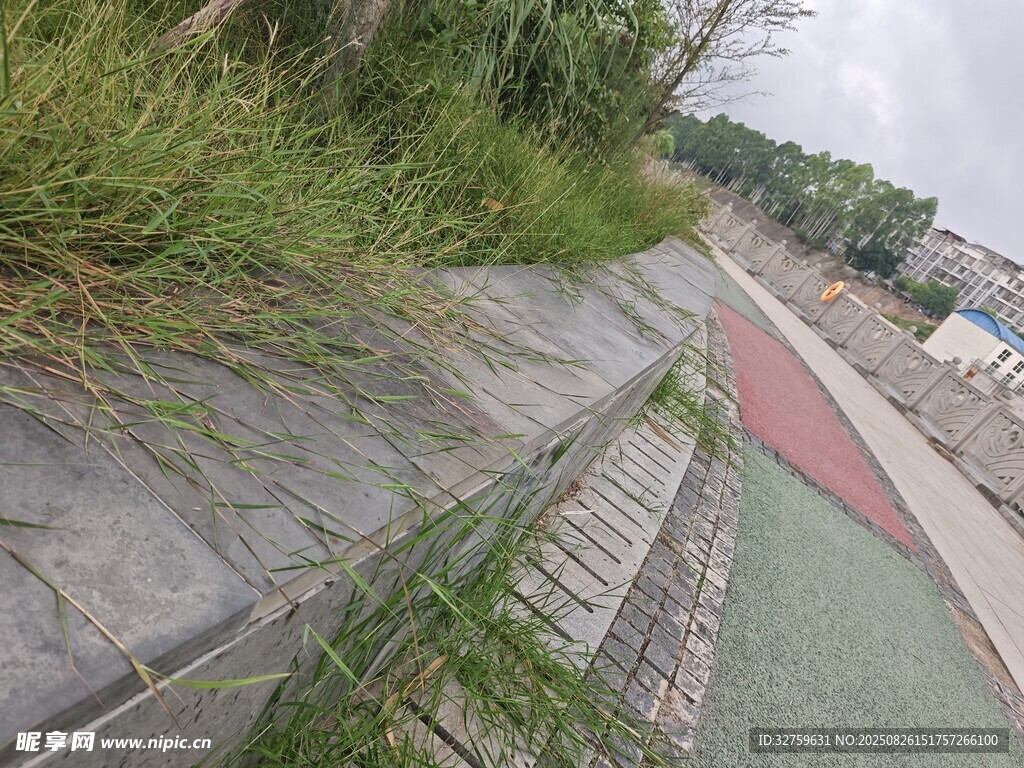 戶外斜坡旁的綠植與步道
