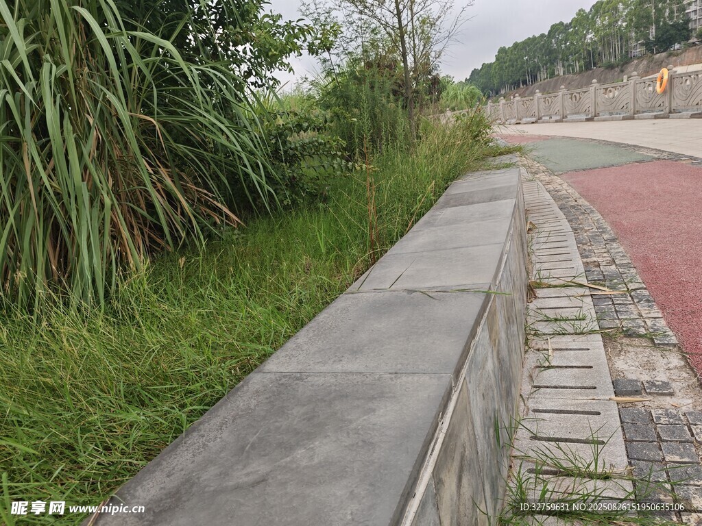 路邊綠植與磚石步道景觀