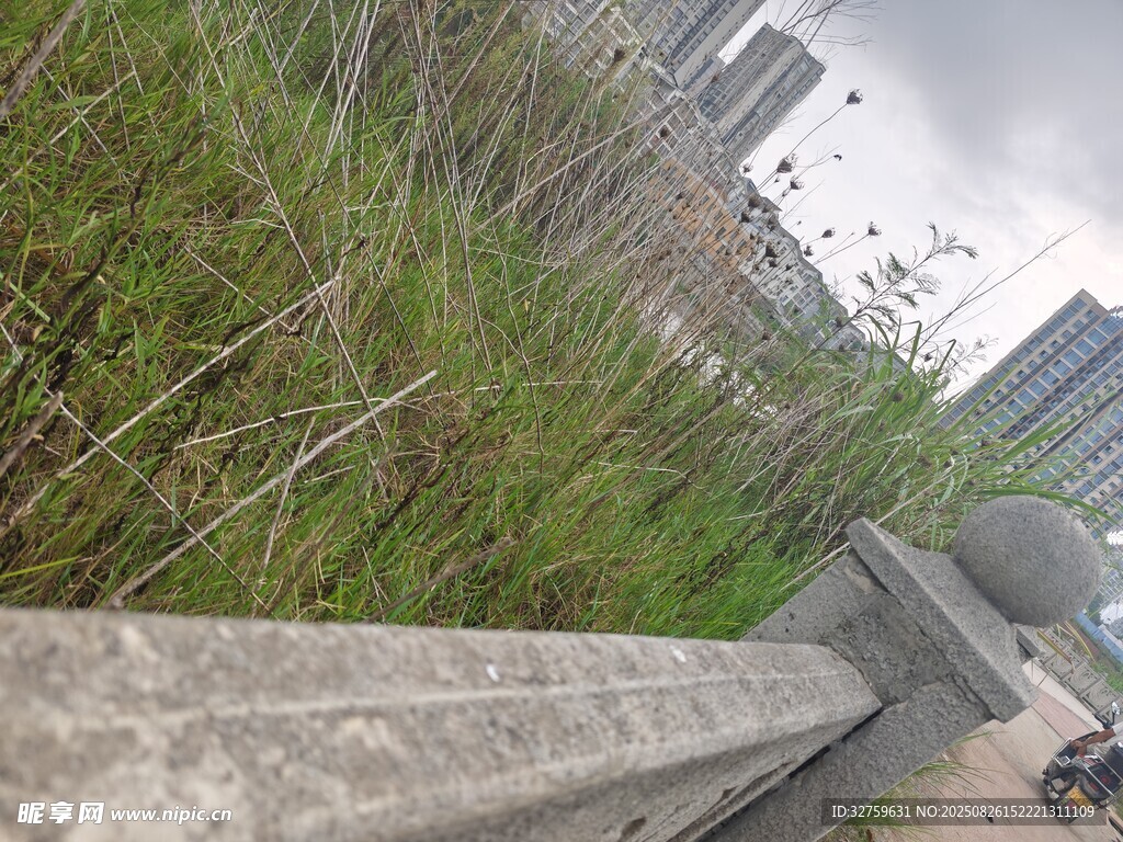城市邊緣的野草與建筑