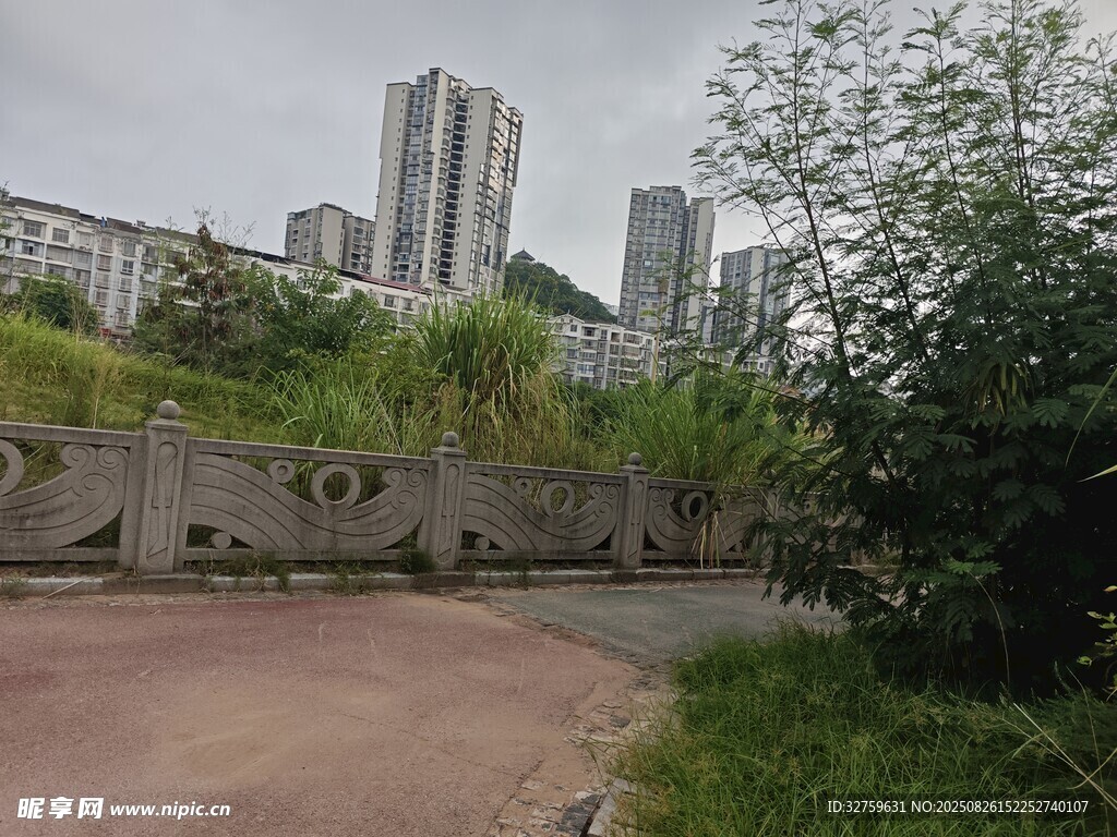 城郊小路旁的高樓與綠植
