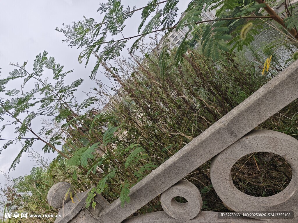 石欄邊的綠植景觀(guān)