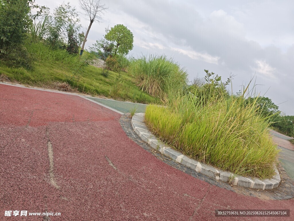 公園紅色步道旁的綠植景觀