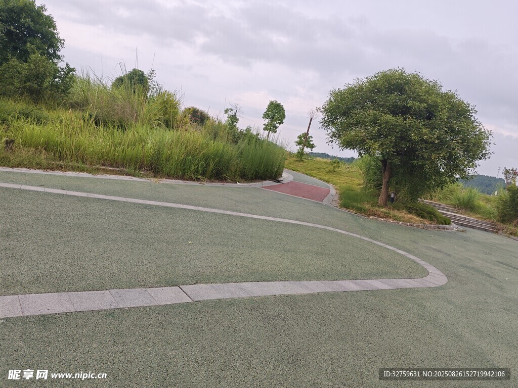 蜿蜒公路旁的綠意景致