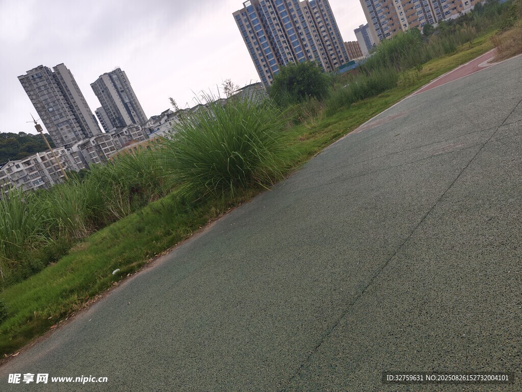 城郊道路旁的綠植與建筑