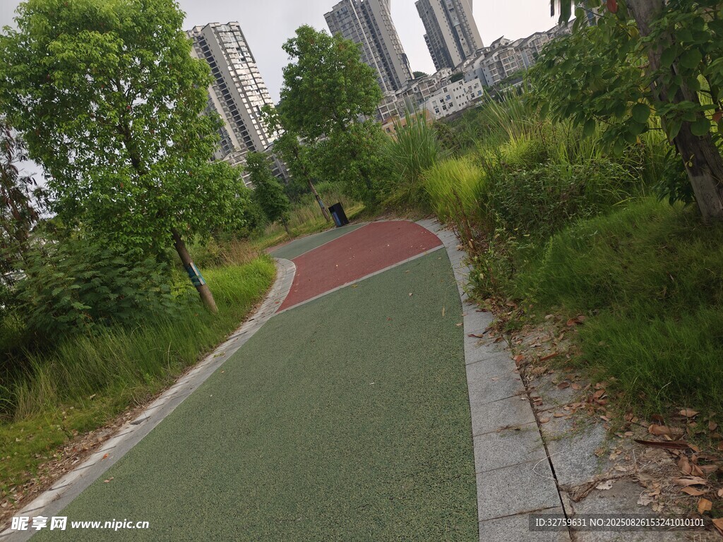 城市中的多彩林間健身步道