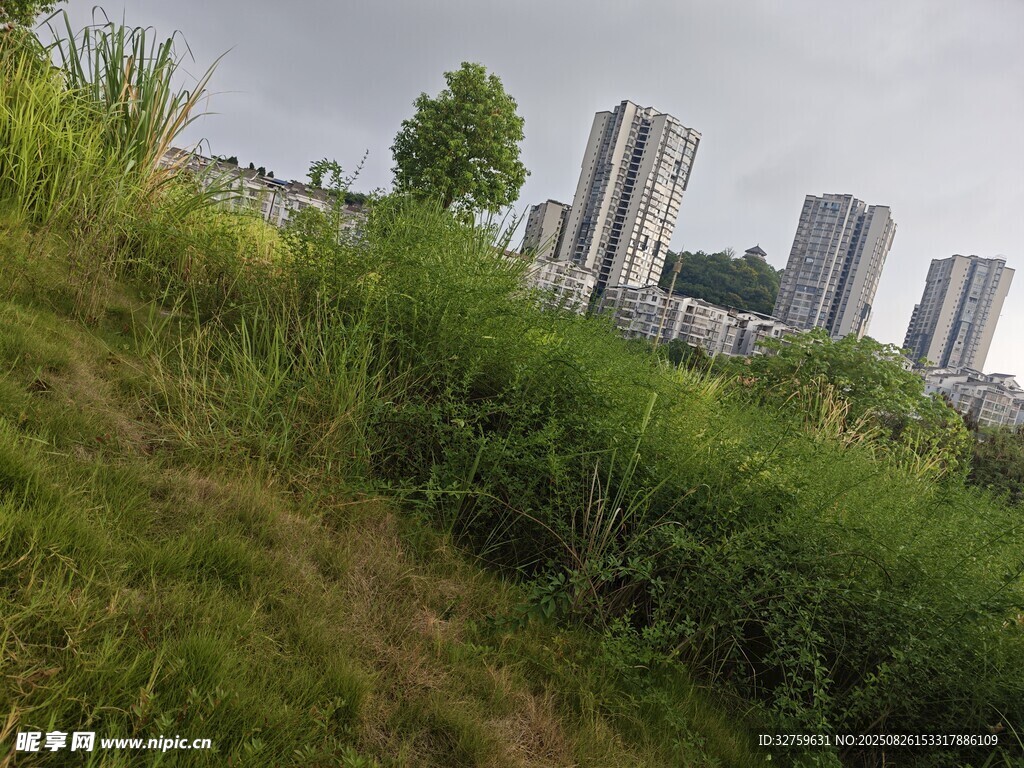 城市邊緣的草地與高樓