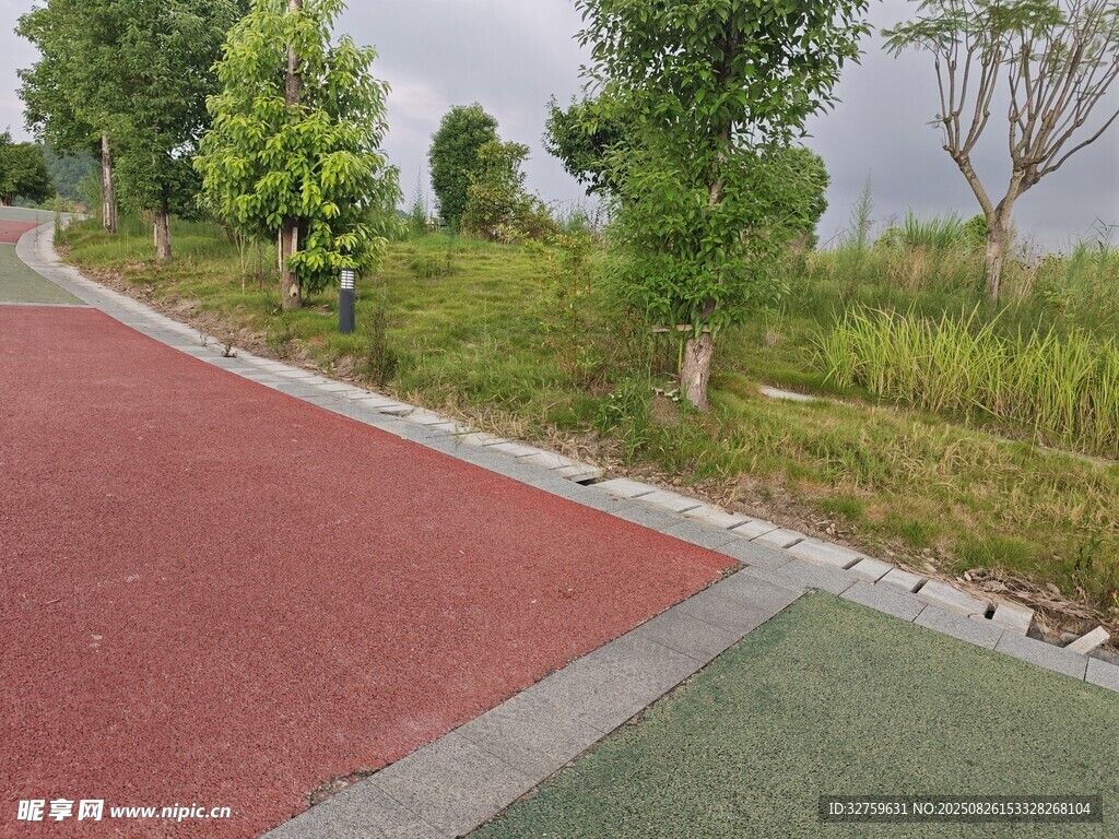 彩色步道旁的綠植景觀