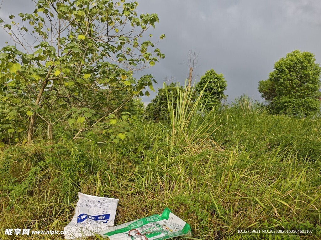 野外草地上的袋裝物品