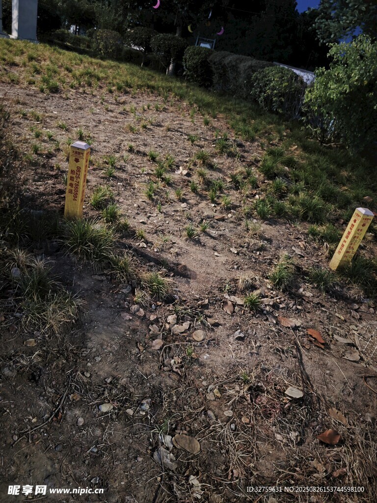 戶外荒地場(chǎng)景