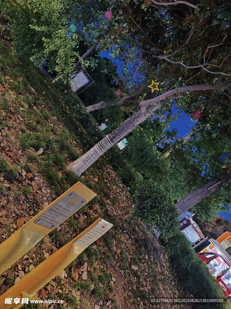 山間木質(zhì)步道與綠植景觀