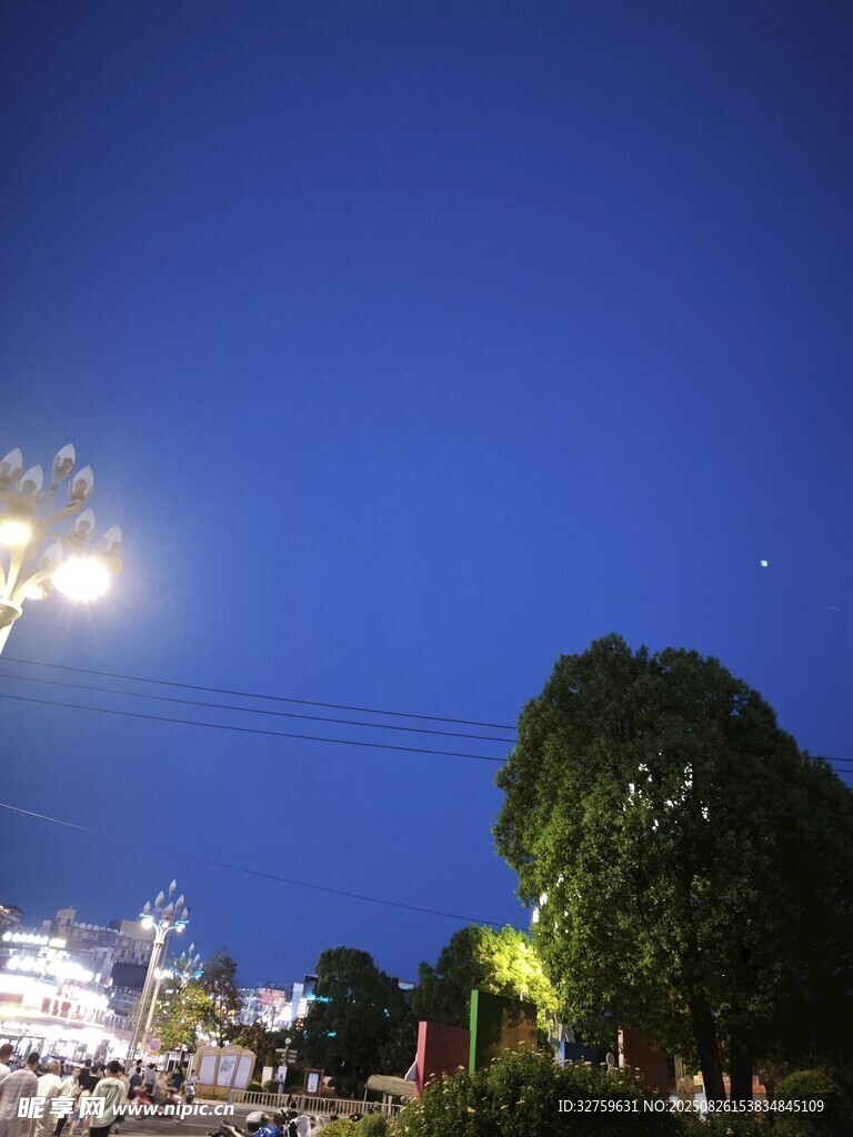夜幕下的城市與樹木景觀