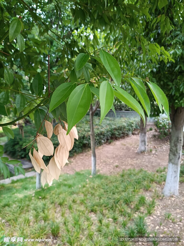 綠葉掩映下的別致雕塑